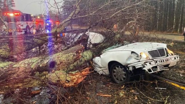 HT1. Comedian died today in a tragic accident after a large tree branch fell on top of him