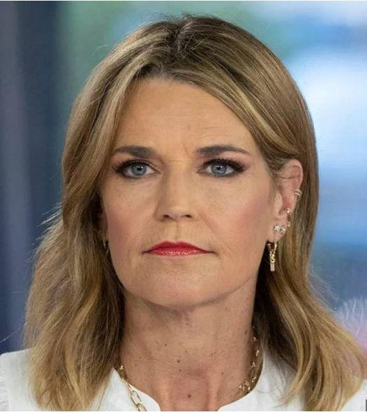 HT1. Outrage over Savannah Guthrie’s Absence from ‘Today’ Show and Disrespectful Interview