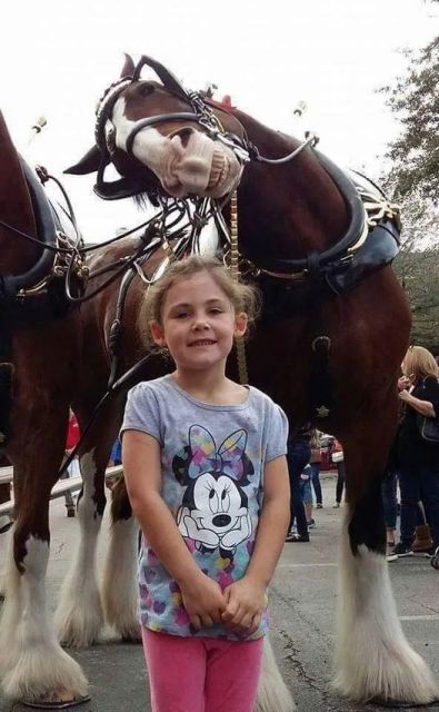 HT6. The father takes a picture of his daughter next to a horse. On closer inspection, he cannot believe what he sees