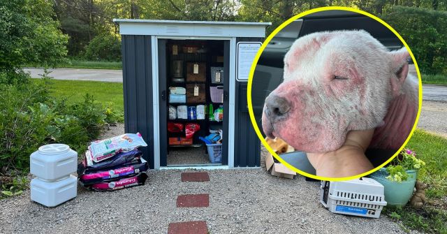 T1.Sick dog was surrendered when his owners couldn’t afford medication — inspires pet pantry for those in need