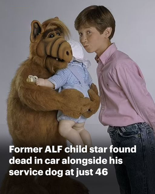 T6. Benji Gregory dead at 46: Former ALF child star died in car alongside his service dog in Arizona bank parking lot due to ‘suspected heatstroke’