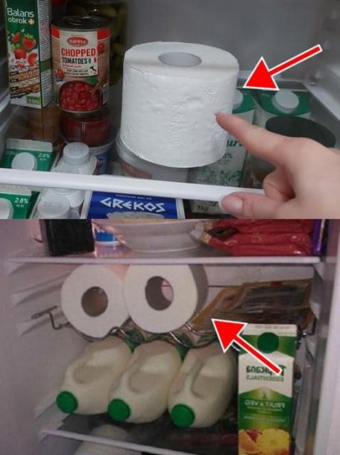 HT1. Put a roll of paper towel in your fridge: electricity bill is halved and your family will get these amazing benefits